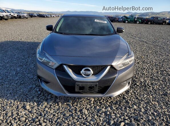 1N4AA6AP5GC436728 2016 NISSAN MAXIMA Gray Widok z przodu