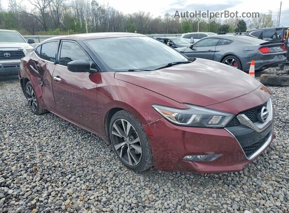 1N4AA6AP5GC437619 2016 NISSAN MAXIMA Burgundy Przód prawy