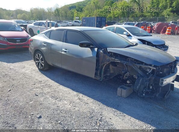 1N4AA6AP5GC901489 2016 NISSAN MAXIMA Gray წინა მარჯვენა