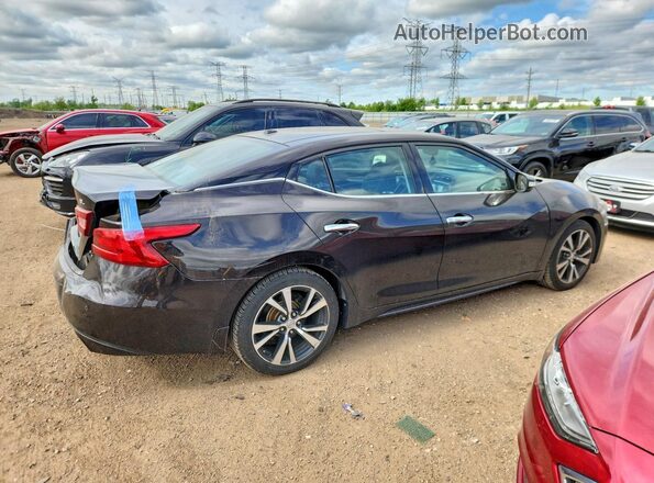 1N4AA6AP5HC384633 2017 NISSAN MAXIMA Black Tył prawy