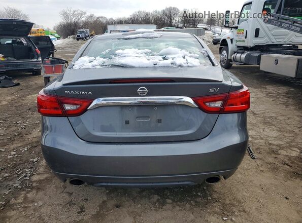1N4AA6AP5HC399701 2017 NISSAN MAXIMA Gray Widok z tyłu