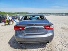 2017 Nissan Maxima 3.5 Sv Gray vin: 1N4AA6AP5HC443244 2017 Nissan Maxima 3.5 Sv Gray vin: 1N4AA6AP5HC443244