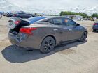 2016 Nissan Maxima 3.5 S Серый vin: 1N4AA6AP6GC441646