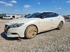 2016 Nissan Maxima White vin: 1N4AA6AP8GC392840