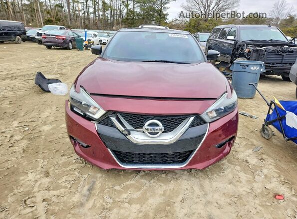 1N4AA6AP8GC418739 2016 NISSAN MAXIMA Burgundy Vista frontal