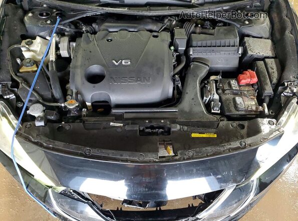 1N4AA6AP8HC444162 2017 NISSAN MAXIMA PLATINUM Черный Вид задней части салона