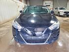 2017 Nissan Maxima Platinum Черный vin: 1N4AA6AP8HC444162