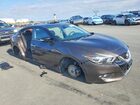 2016 Nissan Maxima Platinum Brown vin: 1N4AA6AP9GC379305