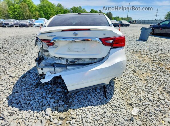 1N4AA6AP9GC385248 2016 NISSAN MAXIMA White Вид ззаду