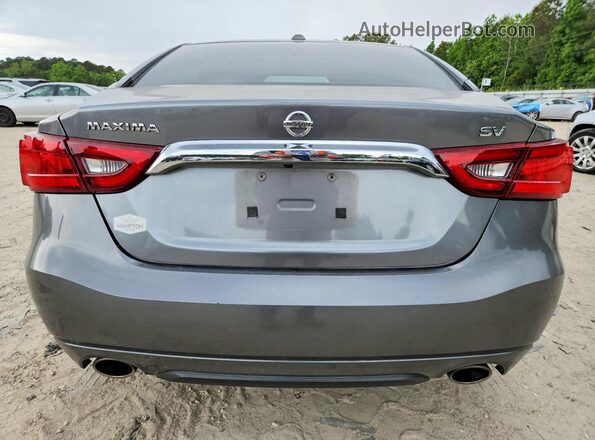 1N4AA6AP9GC404509 2016 NISSAN MAXIMA Серый Вид сзади