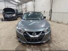 2017 Nissan Maxima 3.5 Sl Gray vin: 1N4AA6AP9HC374929