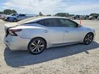2019 Nissan Maxima Silver vin: 1N4AA6AV0KC366000