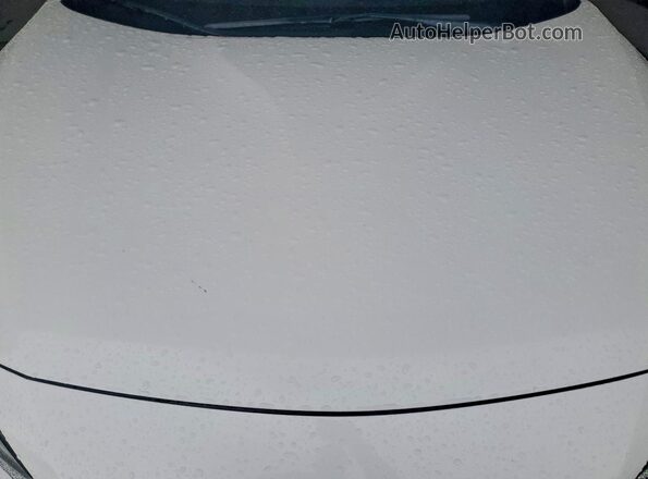 1N4AA6AV8KC371607 2019 NISSAN MAXIMA White Вид задньої частини салону