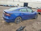 2021 Nissan Maxima Sv Синий vin: 1N4AA6CV1MC509214