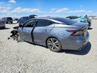 2020 Nissan Maxima Sv Gray vin: 1N4AA6CV8LC370262