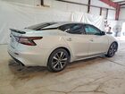 2020 Nissan Maxima Sv Серебряный vin: 1N4AA6CV8LC383335