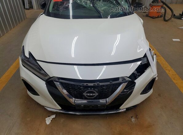 1N4AA6CVXPC509376 2023 NISSAN MAXIMA Белый Вид задней части салона