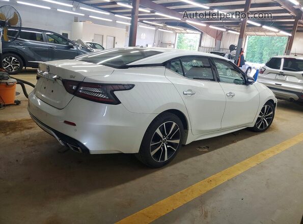 1N4AA6CVXPC509376 2023 NISSAN MAXIMA Белый Задняя правая четверть