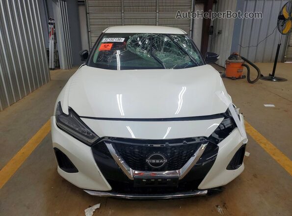 1N4AA6CVXPC509376 2023 NISSAN MAXIMA Белый Вид спереди