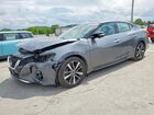 2023 Nissan Maxima Sv Серый vin: 1N4AA6CVXPC511516