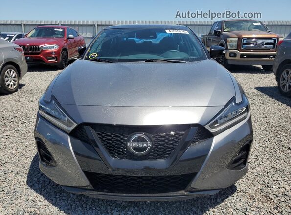 1N4AA6EV2PC513712 2023 NISSAN MAXIMA Gray Widok z przodu