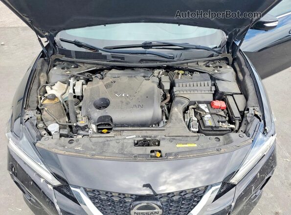 1N4AA6EV8LC368301 2020 NISSAN MAXIMA Black Սալոնի հետևի տեսք