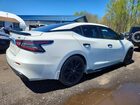 2020 Nissan Maxima Sr Белый vin: 1N4AA6EVXLC384256
