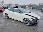 2021 Nissan Maxima Platinum Белый vin: 1N4AA6FV0MC501925
