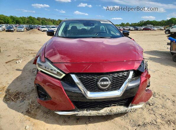 1N4AA6FV3PC513104 2023 NISSAN MAXIMA Red Vista frontal