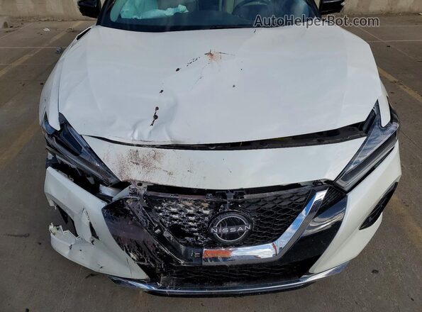 1N4AA6FV5PC503531 2023 NISSAN MAXIMA Белый Вид задней части салона