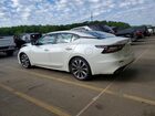 2023 Nissan Maxima Platinum Белый vin: 1N4AA6FV5PC503531