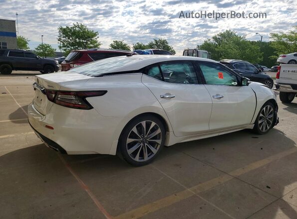 1N4AA6FV5PC503531 2023 NISSAN MAXIMA Белый Задняя правая четверть