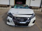2023 Nissan Maxima Platinum Белый vin: 1N4AA6FV5PC503531