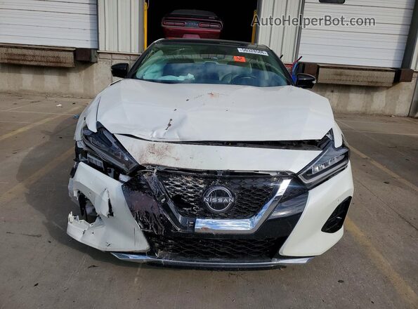 1N4AA6FV5PC503531 2023 NISSAN MAXIMA Белый Вид спереди