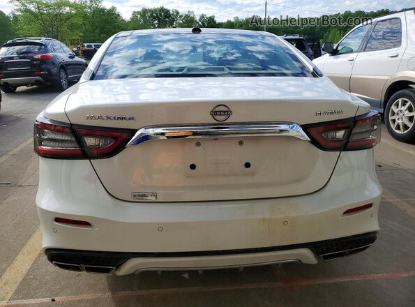 1N4AA6FV5PC503531 2023 NISSAN MAXIMA Белый Вид сзади