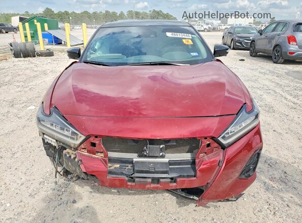 1N4AA6FV7PC508231 2023 NISSAN MAXIMA Red Вид спереду