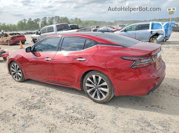 1N4AA6FV7PC508231 2023 NISSAN MAXIMA Red Задня ліва чверть