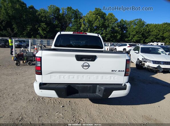 1N6ED1EK7RN604183 2024 NISSAN FRONTIER Белый 