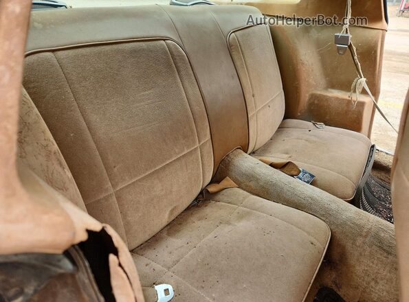 1S87L9L615516 1979 CHEVROLET CAMARO Коричневый Вид задних сидений
