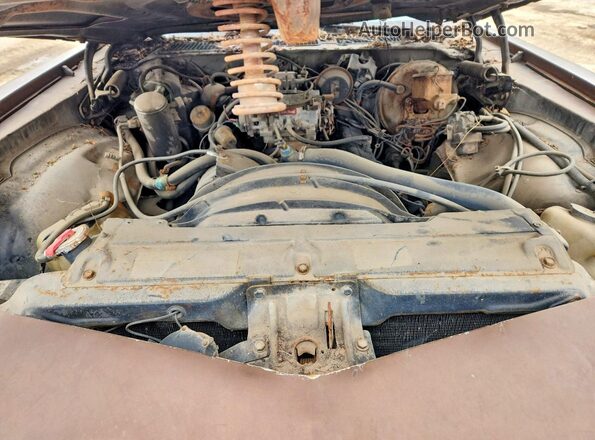 1S87L9L615516 1979 CHEVROLET CAMARO Коричневый Вид задней части салона