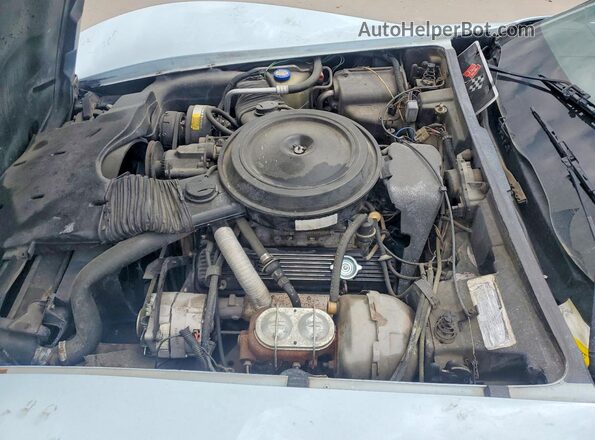 1Z8749S440930 1979 CHEVROLET CORVETTE Blue Widok wnętrza z tyłu