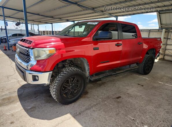 5TFEY5F16KX245780 2019 TOYOTA TUNDRA Red უკანა მარცხენა