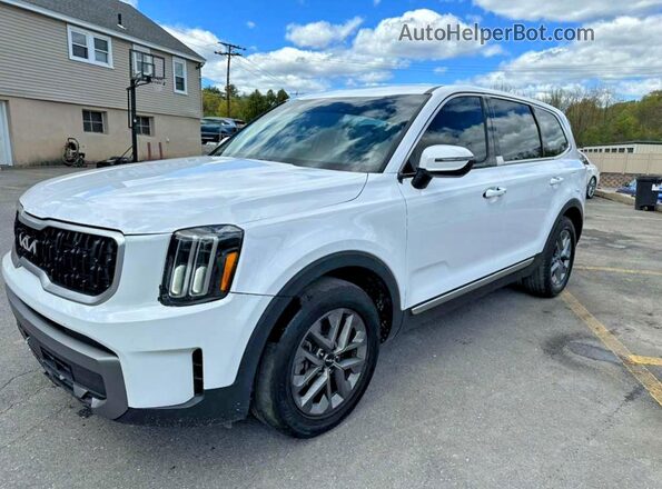 5XYP2DGC8PG353106 2023 KIA TELLURIDE White Tył lewy