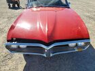 1967 Pontiac Firebird Красный vin: 223677U142870 1967 Pontiac Firebird Красный vin: 223677U142870