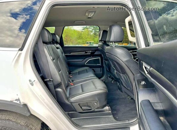 5XYP2DGC8PG353106 2023 KIA TELLURIDE White Widok z tyłu