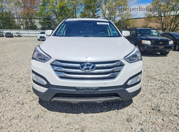 5XYZUDLB7GG343263 2016 HYUNDAI SANTA Белый Вид сзади