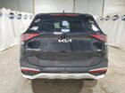 2024 Kia Sportage Ex Black vin: 5XYK3CDF5RG163377