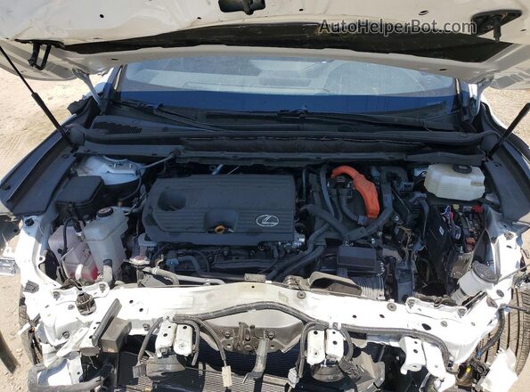 2T2BBMCAXRC053933 2024 LEXUS RX Белый Вид наклейки с VIN-кодом
