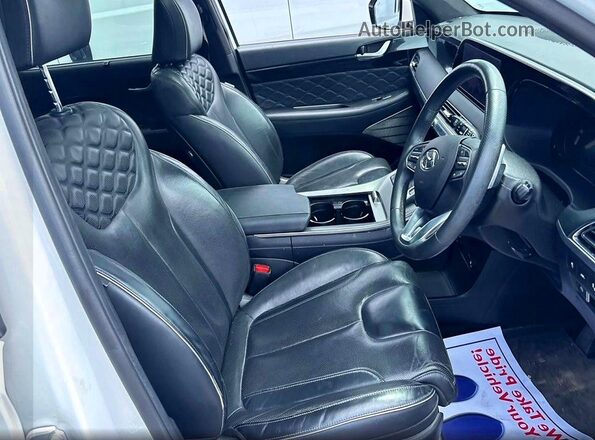 KM8R5DHEXLU135799 2020 HYUNDAI PALISADE Белый Вид сзади