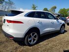 2019 Jaguar F-pace White vin: SADCS2FX3KA602139